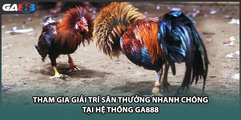 Tham gia giải trí săn thưởng nhanh chóng tại nhà cái GA888